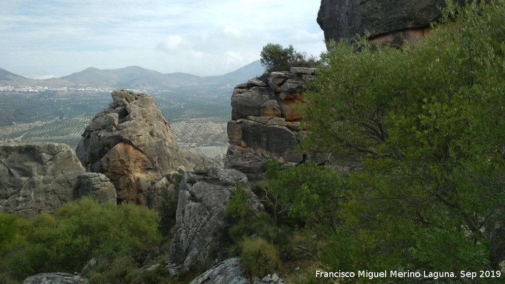 Cerro de la Condesa - Cerro de la Condesa. 