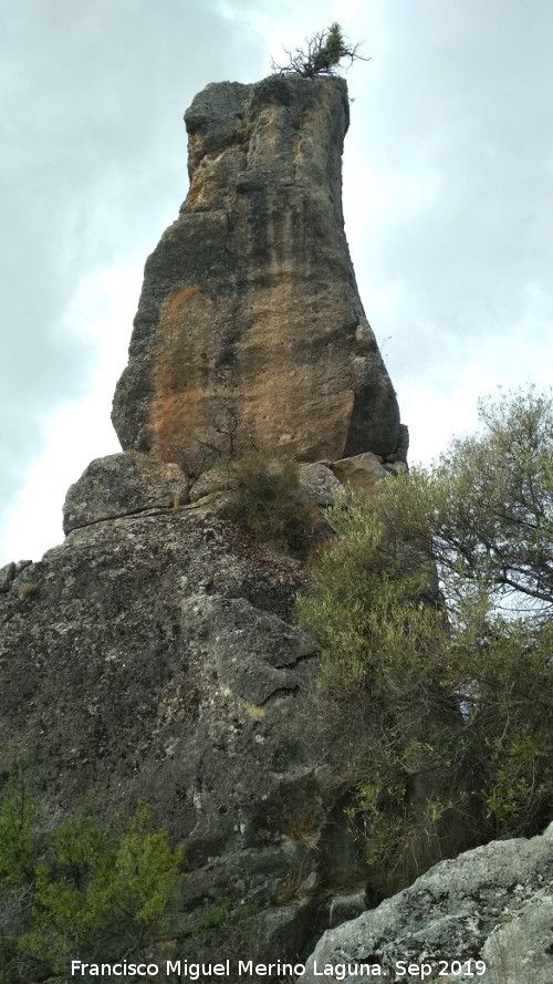Cerro de la Condesa - Cerro de la Condesa. 