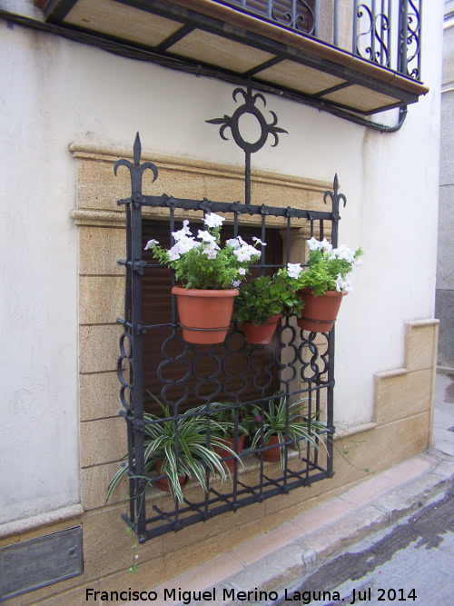 Casa de la Calle Carrera n 34 - Casa de la Calle Carrera n 34. Reja de rosetas