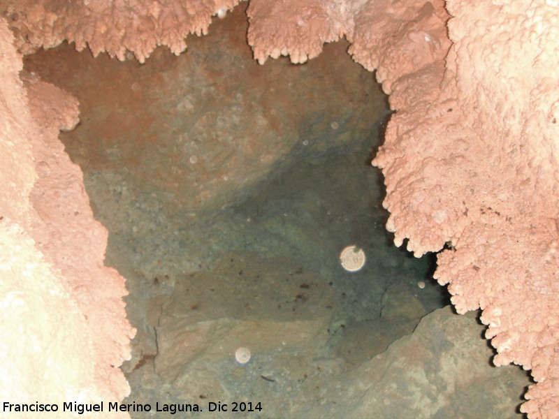Cueva de la Murcielaguina - Cueva de la Murcielaguina. Boca del Lago