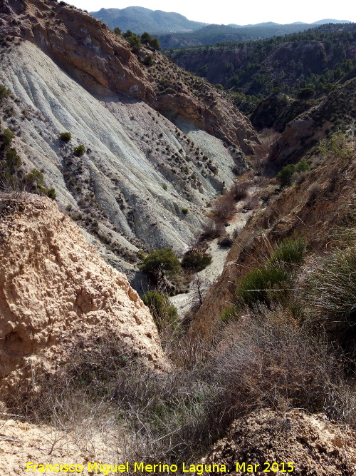 Rambla de los Collados - Rambla de los Collados. 