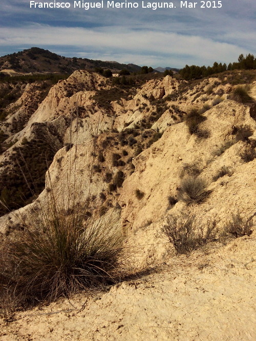 Rambla de los Collados - Rambla de los Collados. Bad lans