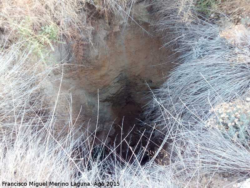 Mina de agua del Camino del Bercho - Mina de agua del Camino del Bercho. Pozo