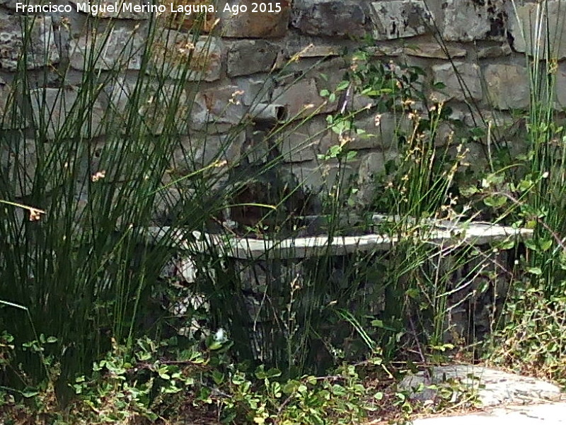 Fuente de la Zarza - Fuente de la Zarza. 