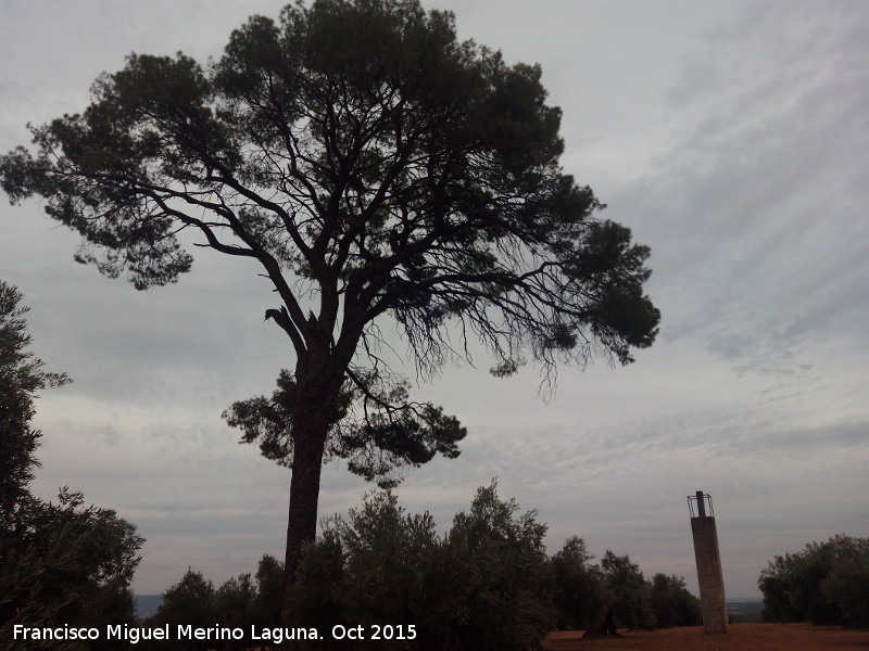 Punto Geodsico de El Pino - Punto Geodsico de El Pino. Junto a El Pino