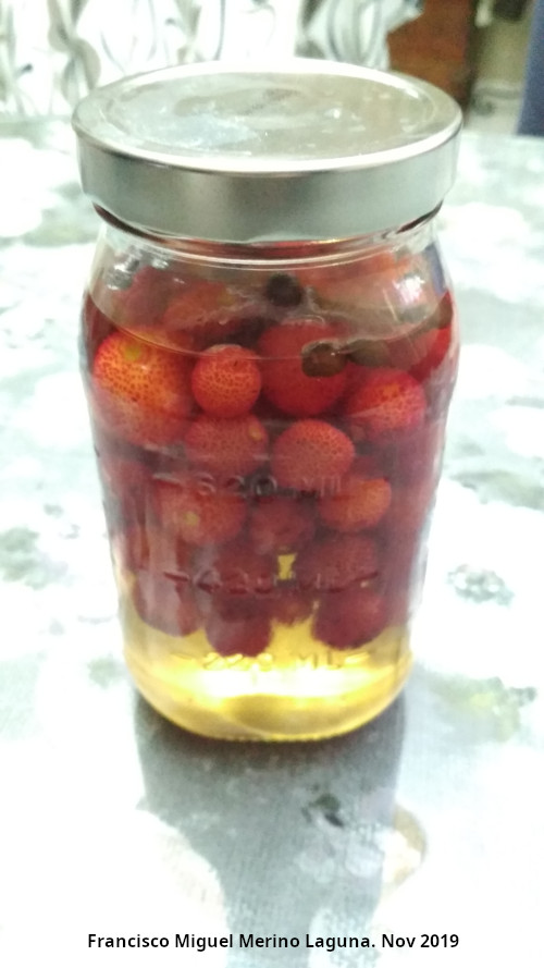 Madroo - Madroo. Macerando licor de madroos