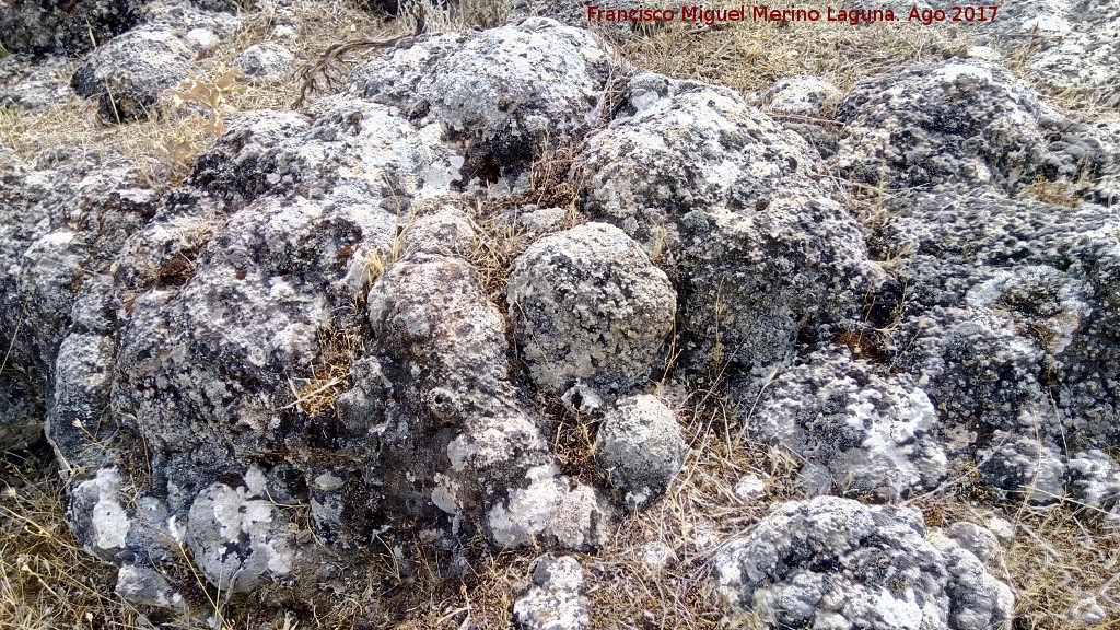 Yacimiento de Troncos fsiles del Tercero - Yacimiento de Troncos fsiles del Tercero. Cerca de la Cueva del Tercero