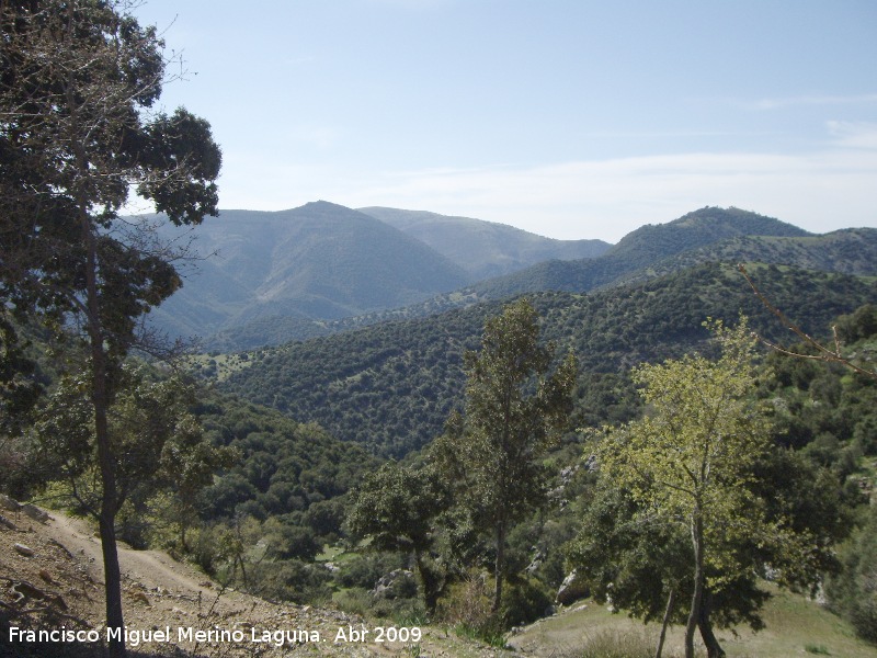 Mirador Moralejo - Mirador Moralejo. 