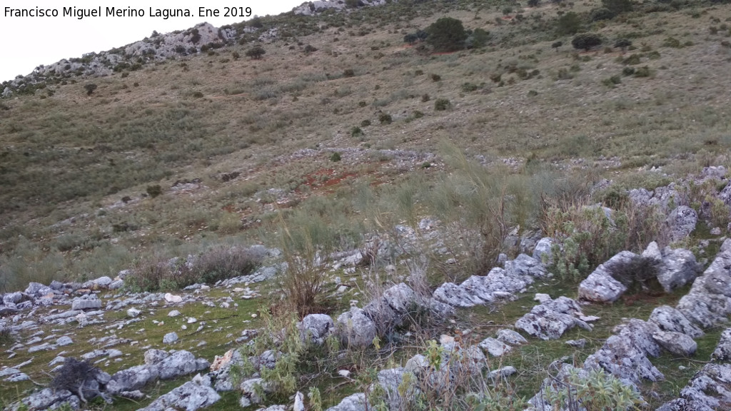 Poblado de Mirasierra - Poblado de Mirasierra. Al fondo la cerca o muralla