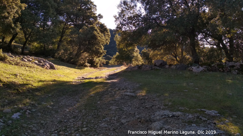 Caada de los Habares - Caada de los Habares. 