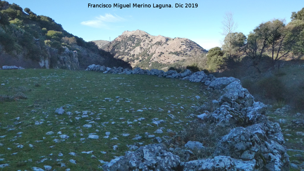 Era de los Habares - Era de los Habares. 