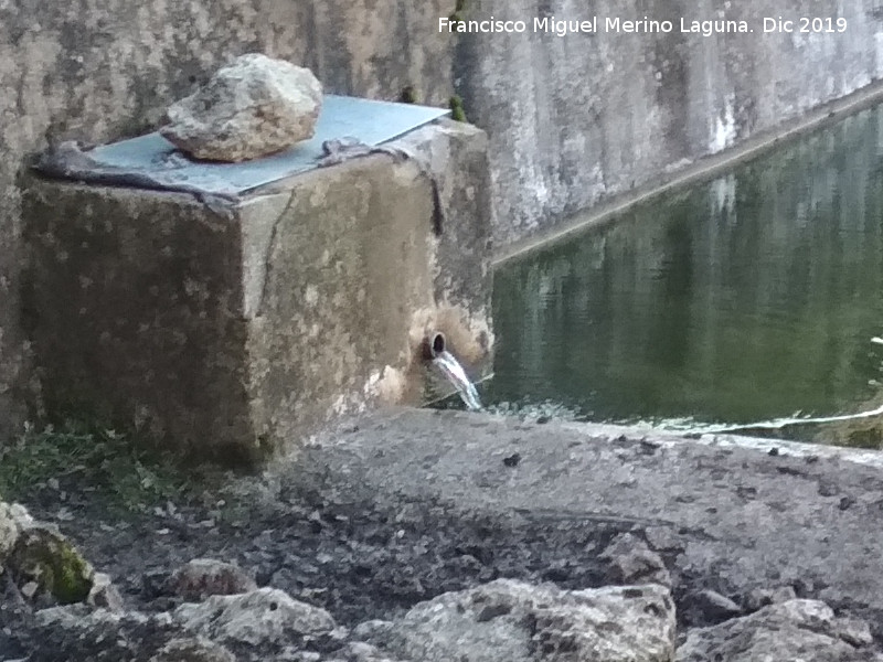 Fuente del Barranco del Tejuelo - Fuente del Barranco del Tejuelo. Cao