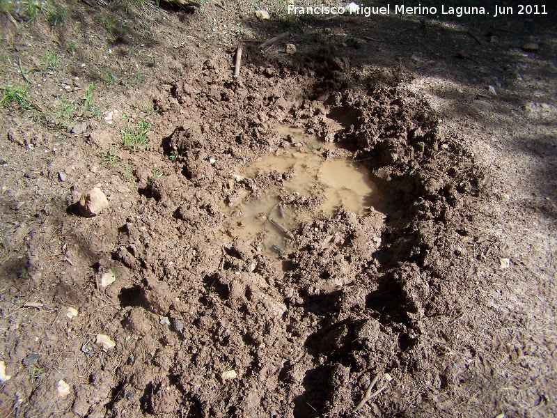 Jabal - Jabal. Bao. La Hoya - Jan