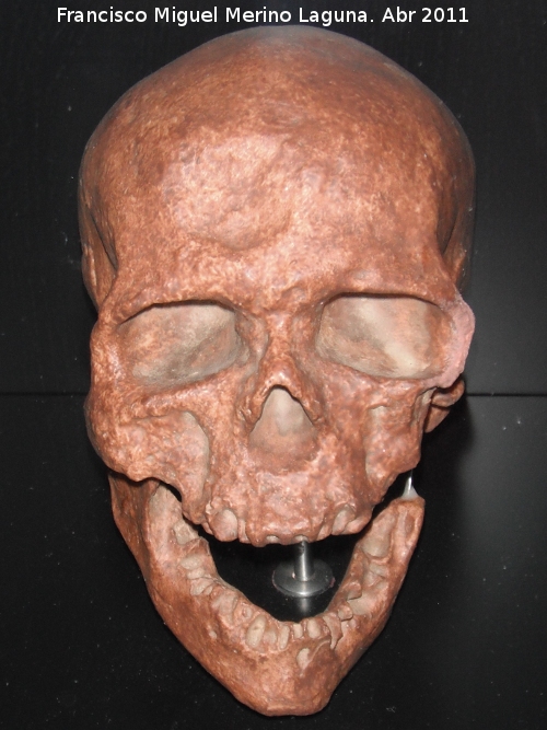 Homo sapiens - Homo sapiens. Dordoa - Francia