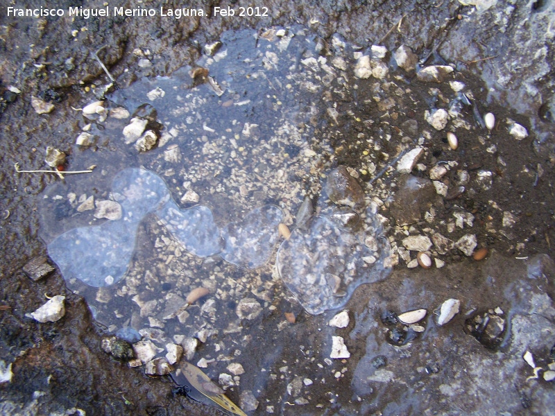 Helada - Helada. Canjorro - Jan