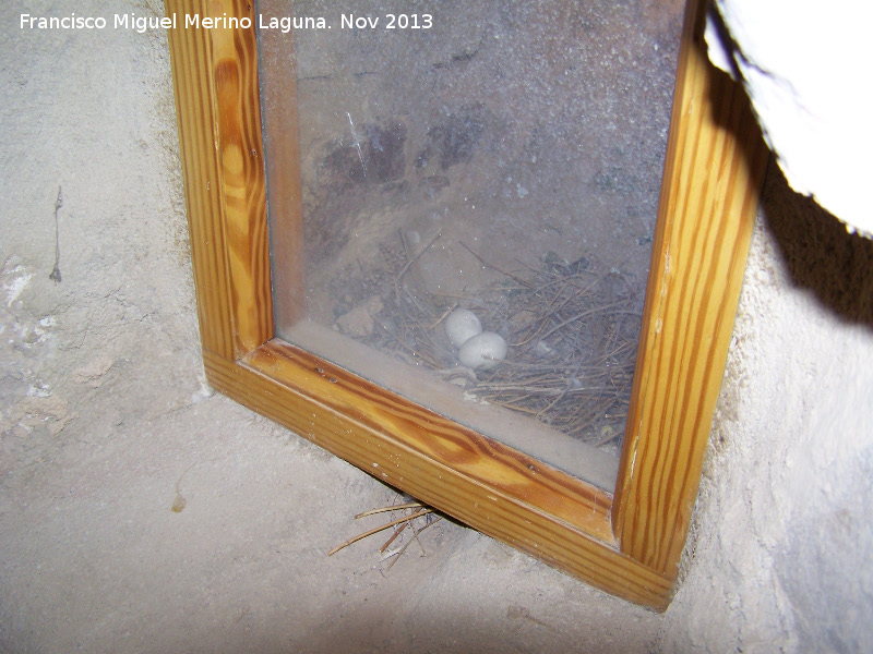 Castillo de la Villa. Torre del Homenaje - Castillo de la Villa. Torre del Homenaje. Nido de paloma