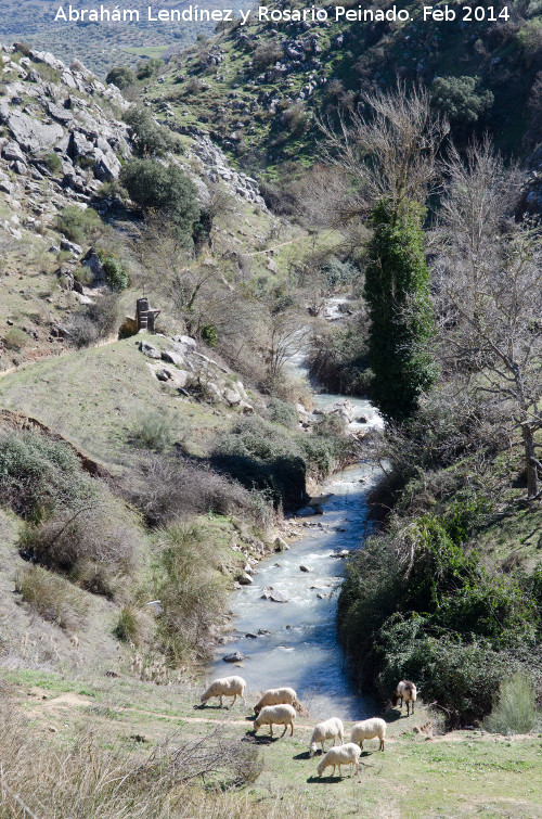 Ro Susana - Ro Susana. 