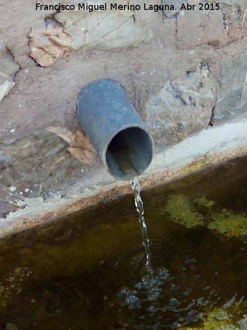 Pilar de los Barrancos - Pilar de los Barrancos. Cao