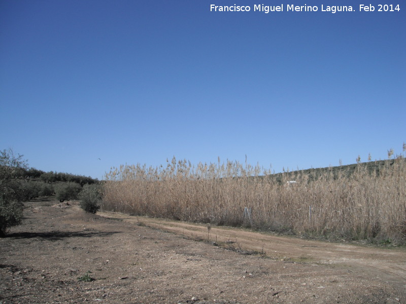 Laguna de Naranjeros - Laguna de Naranjeros. 