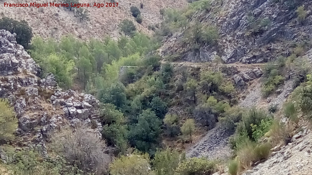 Can del Tercero - Can del Tercero. 