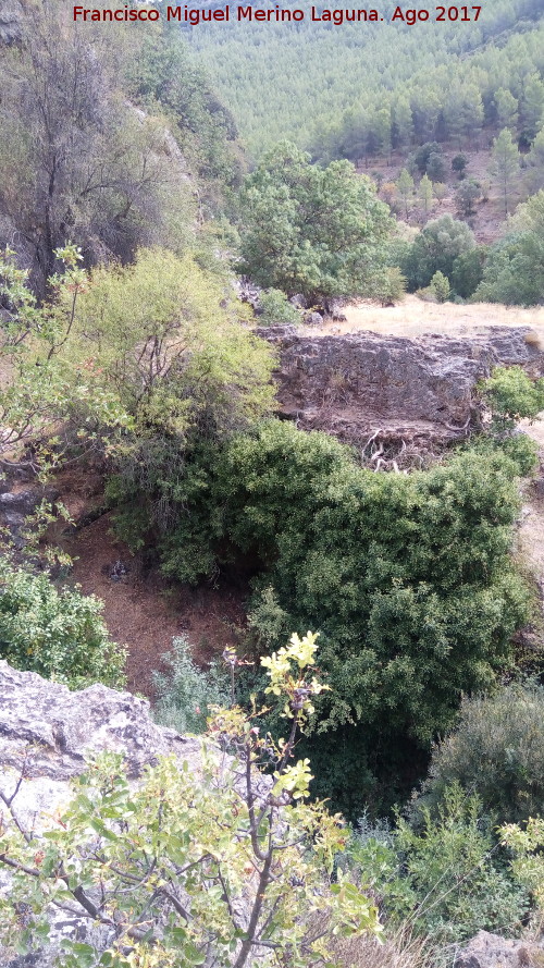 Can del Tercero - Can del Tercero. 