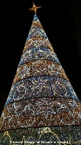 Plaza de Santa Mara. Navidad