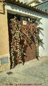 Curiosidades. El vado ms intil. Mirador de San Lorenzo - beda