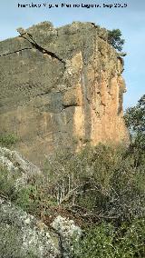 Cerro de la Condesa. 