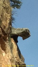 Cerro de la Condesa. 