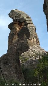 Cerro de la Condesa. 