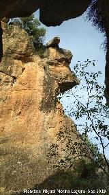 Cerro de la Condesa. 