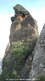 Cerro de la Condesa. 