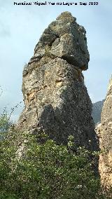 Cerro de la Condesa. 