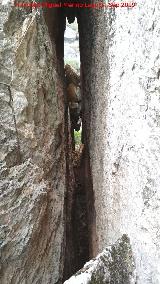 Cerro de la Condesa. 