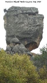 Cerro de la Condesa. 