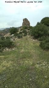 Cerro de la Condesa. 