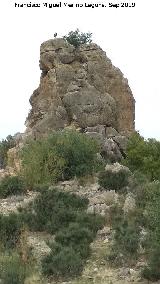 Cerro de la Condesa. 
