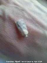 Polilla Spilarctia - Spilarctia sp. Las Castaetas - Villacarrillo