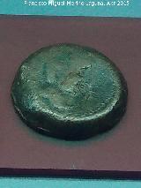 Cstulo. Moneda de Cstulo. Museo Arqueolgico Provincial de Jan