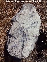 Yacimiento Cortijo del Fondo de las Caseras de San Isidro. 