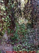 Eremitorio de Chircales. Camino del eremitorio