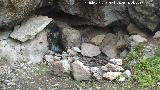 Cueva del Cerro de Santa Catalina. 