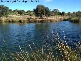 Laguna de Burguillos. 