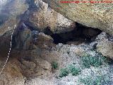Cueva de la Zorra. 
