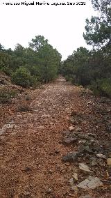 Calzada de El Empedraillo. 