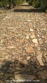 Calzada de El Empedraillo. 