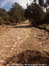 Calzada de El Empedraillo. 