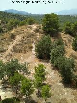 Cabecico del Tesoro. 