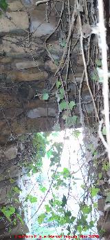 Caracol de Caacanenilla. Puerta