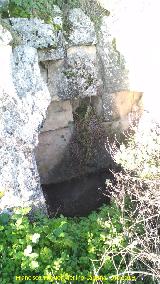 Castelln de Caviedes. Abrigo